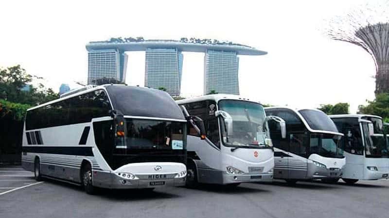 images/newsimages_bus_en/2020/Private Bus Operators To Get Handouts .jpg#joomlaImage://local-images/newsimages_bus_en/2020/Private Bus Operators To Get Handouts .jpg?width=800&height=450